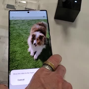 PREYINGHAWK REPORT BEST BUY TOUR: I WANT ONE OF THESE 5G PHONES BUT I DON'T WANT A STROKE
