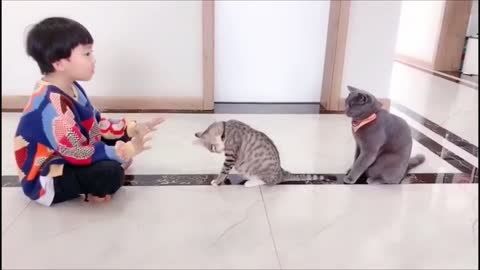 Little Kid Successfully Applied "Chinese Kung Fu" on His Cats