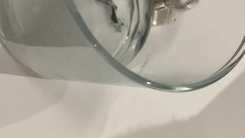 Graphine Oxide?