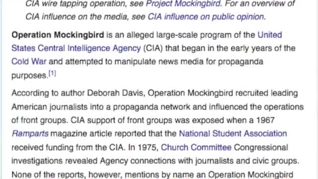 Journalist Ulfkotte confession CIA