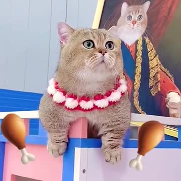 Didn’t that make your legs look long?