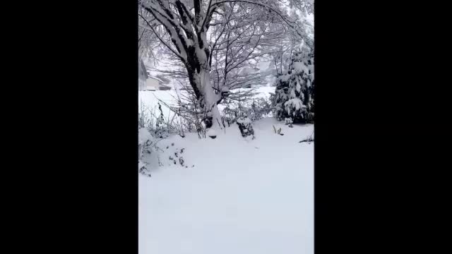 Snow in Switzerland is a bitter winter