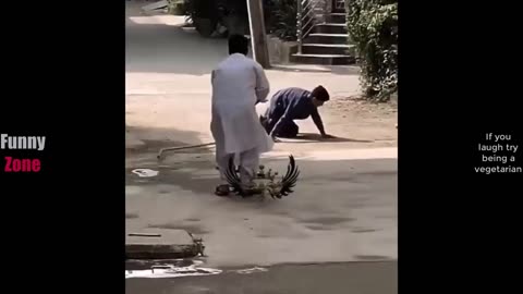 TRY NOT TO LAUGH 😆 Best Funny Videos Compilation 😂😁😆 Memes PART 207