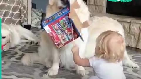 Dog and kid