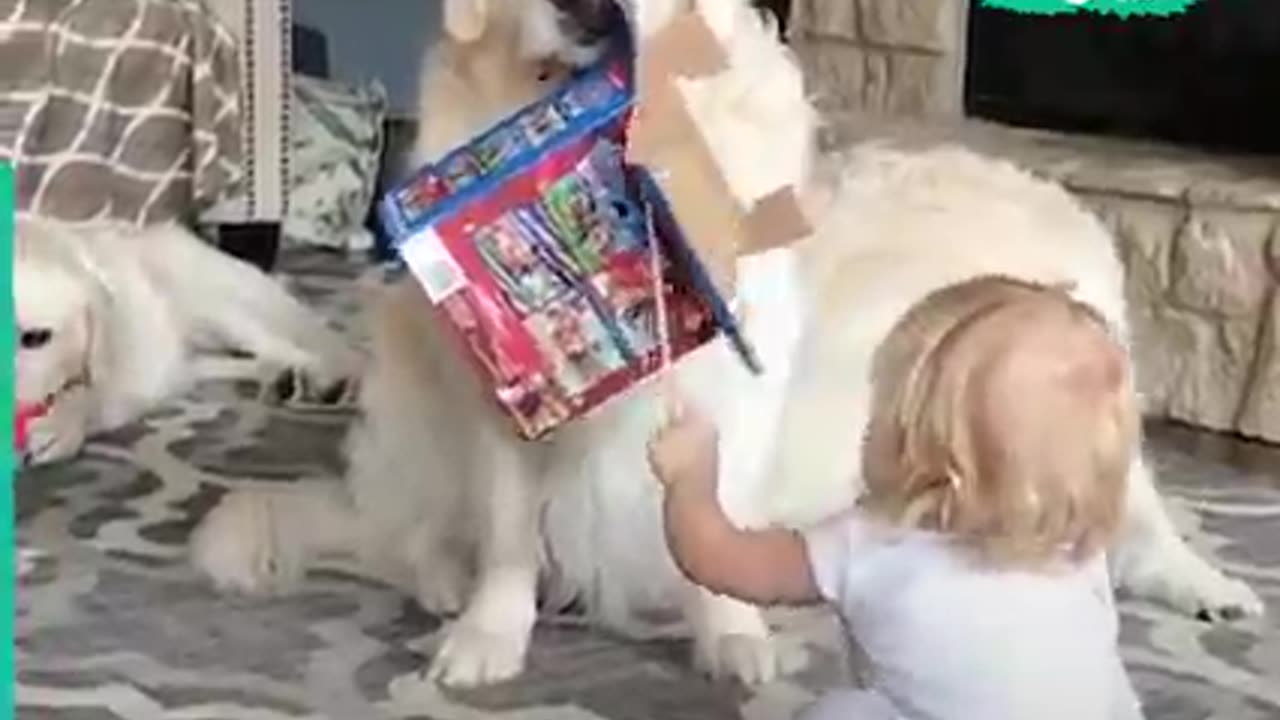 Dog and kid