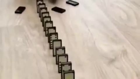 Cute Cat Playing Cards
