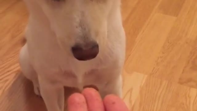 To be resolute and brave is called hardness. Just,