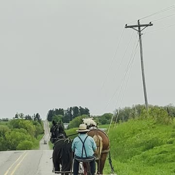 Amish people in America