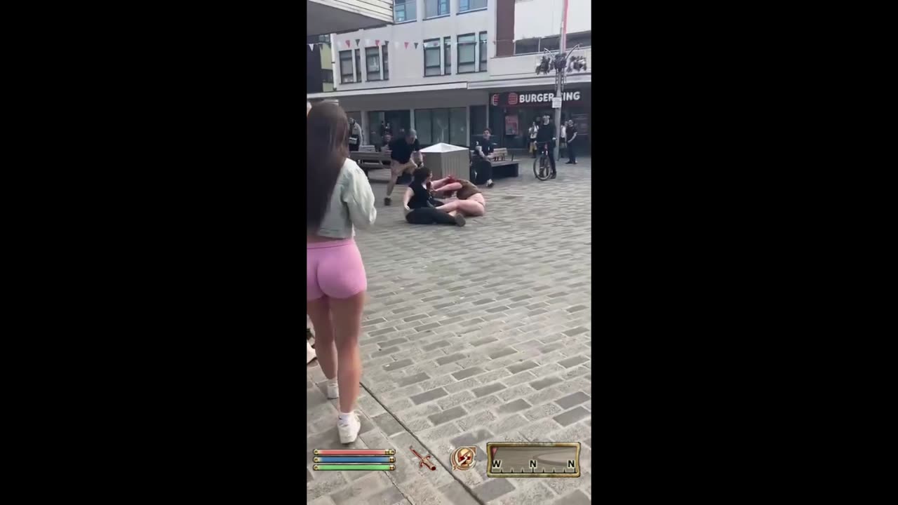 Breton Cat-fight Attracts Cheeky Spectators - Oblivion NPC