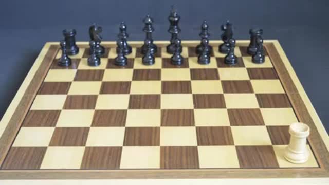 learning chess moves for beginners