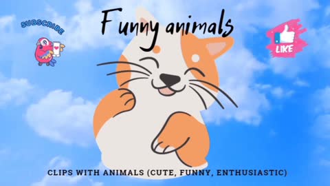 The Most Funny Animals - Best Of The Funny Animal Videos Compilation3