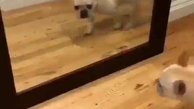 That's what happens when I get up in the morning and walk into the bathroom. LOL