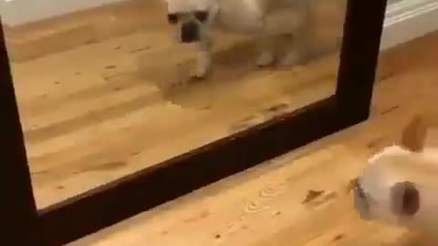 That's what happens when I get up in the morning and walk into the bathroom. LOL