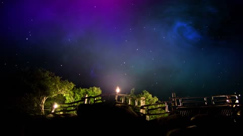 Trees and wooden Bridges under the stars at night