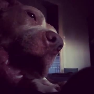 How would you like to be this bone?!