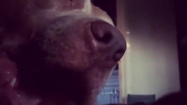 How would you like to be this bone?!