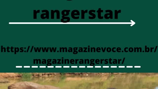 Verde e Rosa Logo Minimalista.mp4 estrategia zazzle loja rangerstar