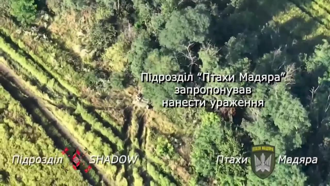 petrivka_17.08.2023