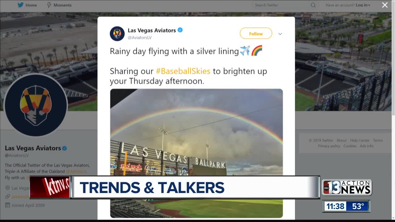 Trends and Talkers: Alligator, snow and rainbows oh my!