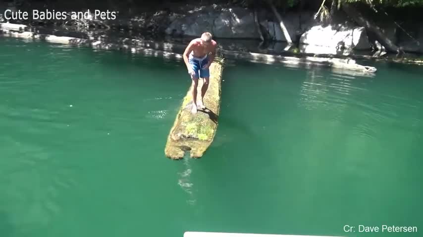 Funny Different Animals Chasing Scaring People 2021