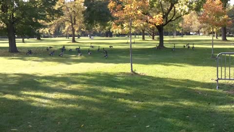 A Day on Toronto Island