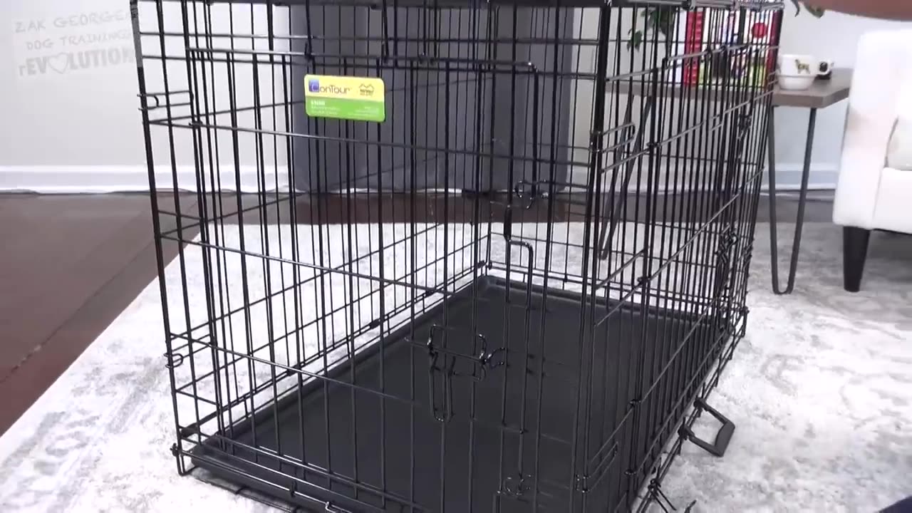 How to Crate Train a Puppy