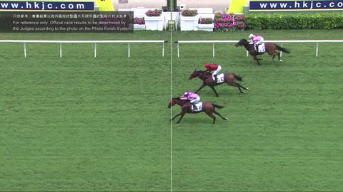 Horse_Race_2022052903_Chinese