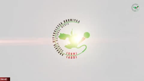 Oduu Waaree ONM-ABO Hagayya 21-2024 itti dhiyaadhaa!