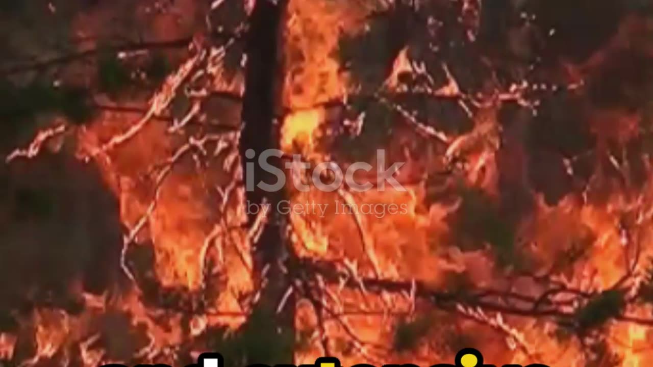 Tunguska Event - The Siberian Mystery