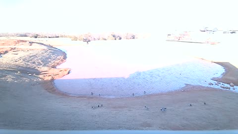 The Pond
