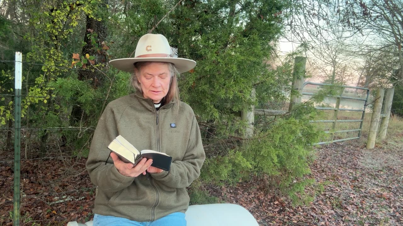 Morning Prayer, Daily office