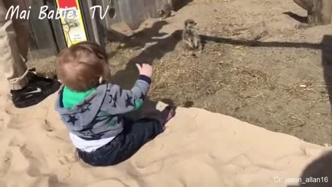 Funny videos of children and animals