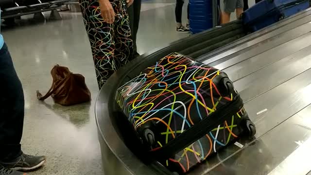 Traveler's Luggage Matches Trousers