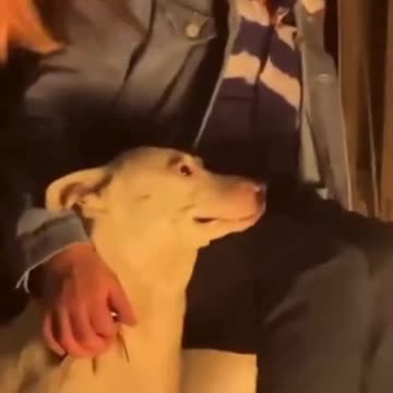 Small Moments to Some Mean the World to Others