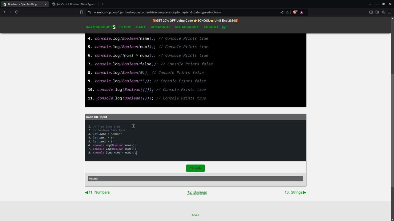 JavaScript Boolean Data Type