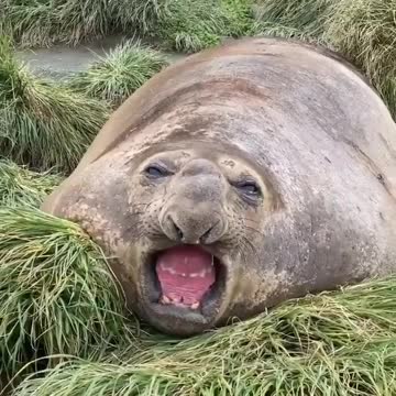 When you feel a sneeze coming on 😂