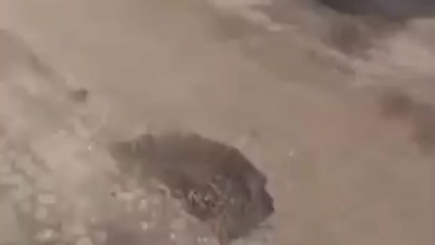 Ukraine Farmer Uses tractor to take Russian Tank