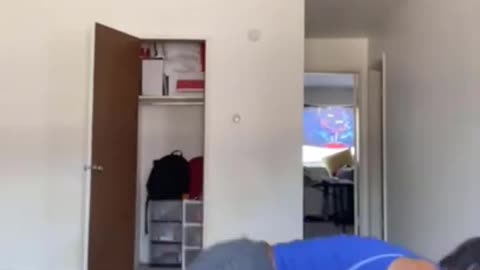 This dog is not abused, this dog is abusing me