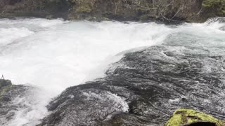 The Awe-Inspiring McKenzie River – Sahalie Falls & Koosah Falls Loop – Central Oregon – 4K