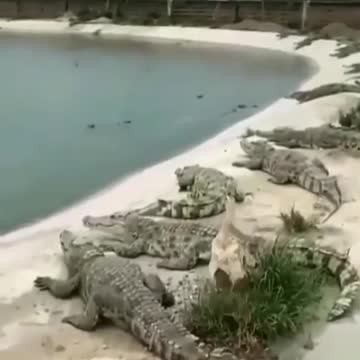 They didn't have time