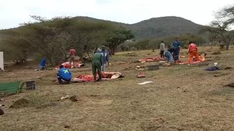 Kraal ceremony for the king Misuzulu the new king of the Zulu nation