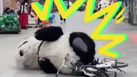 Funny panda 🐼🐼🐼🐼