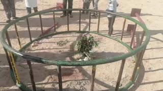 Park wheel crushes boy