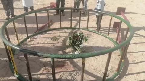 Park wheel crushes boy