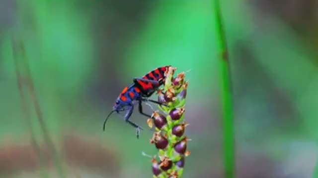 Time with God - June 12