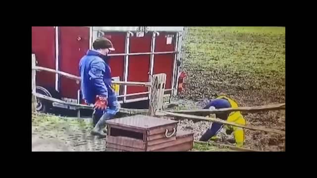 Man jump anyware with out water/jumping man of the year