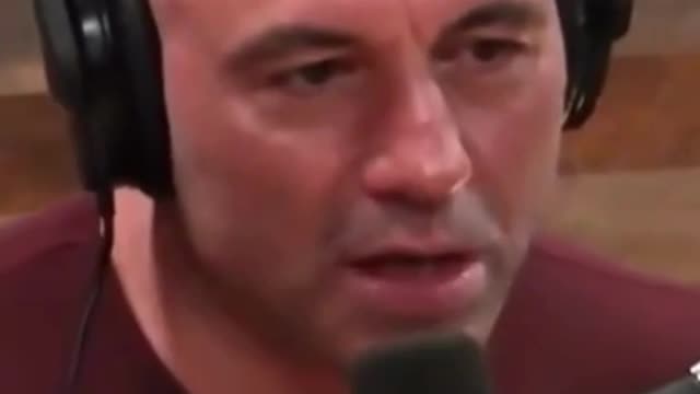 Rogan On The Importance Of Physicality