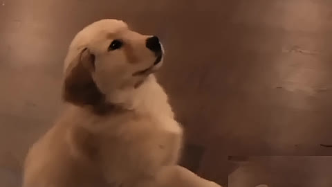 I want to eat.