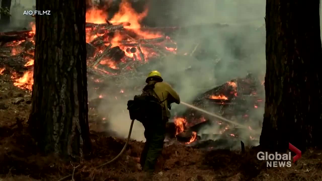 California’s disastrous Oak Fire less than 20% contained, thousands forced to flee