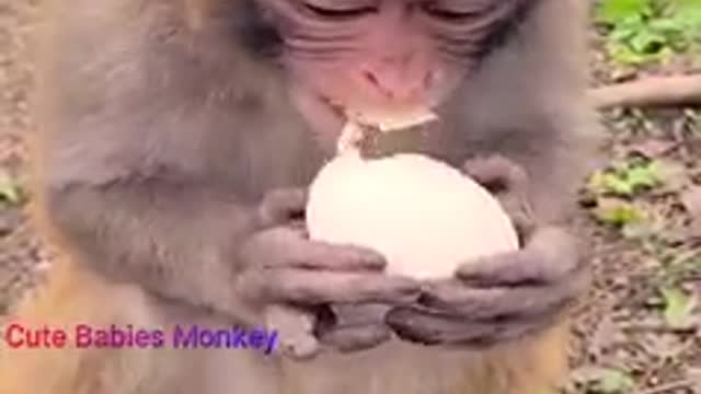 Calling Beautiful Baby On My Hand Never Seen Like This